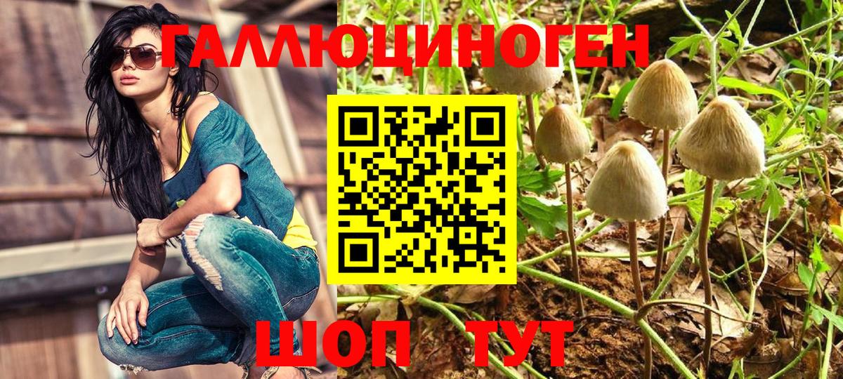 Галлюциногенные грибы мухоморы  Вход с VPN  Тула  Псилоцибиновые грибы ЛСД 